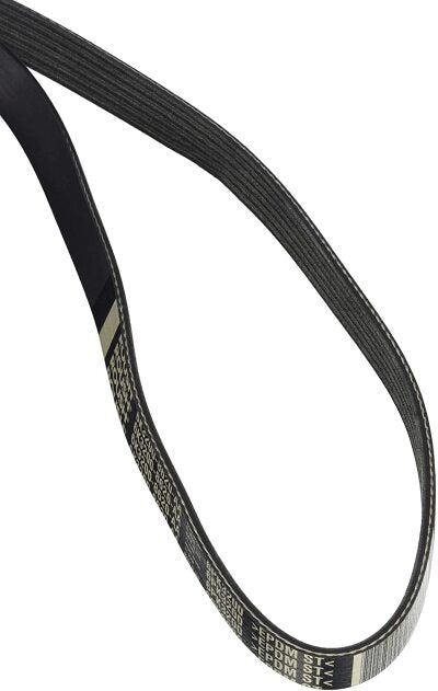 ROUSH 2011-2014 F-150 6.2L ROUSHcharged Serpentine Belt