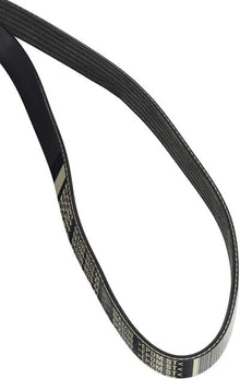 ROUSH 2011-2014 F-150 6.2L ROUSHcharged Serpentine Belt