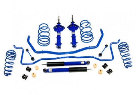 ROUSH Mustang Suspension Kit 4.6L V8 (2005-2010)
