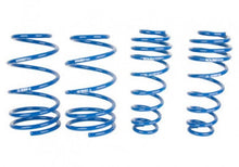 ROUSH Mustang Lowering Springs (2005-2014)
