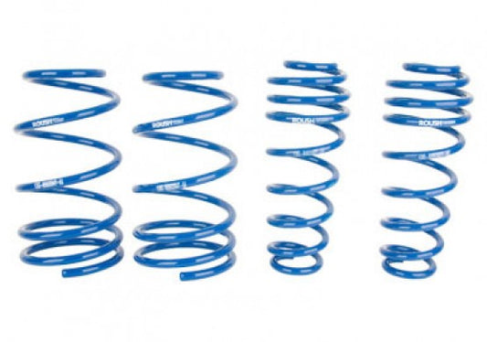 ROUSH Mustang Lowering Springs (2005-2014)
